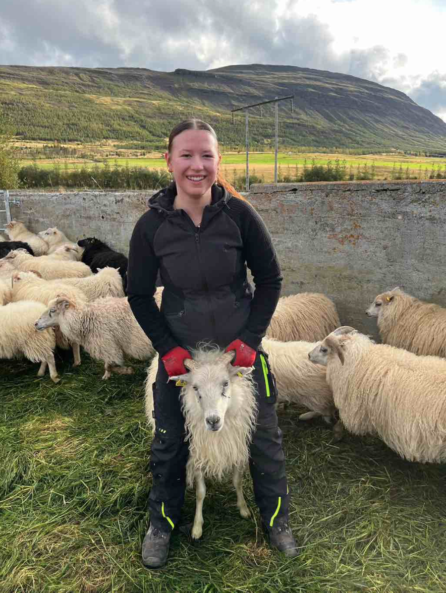 Auslandspraktikum 2025 Auslandspraktikum 2025