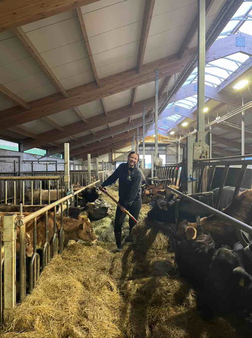 Auslandspraktikum 2025 Auslandspraktikum 2025