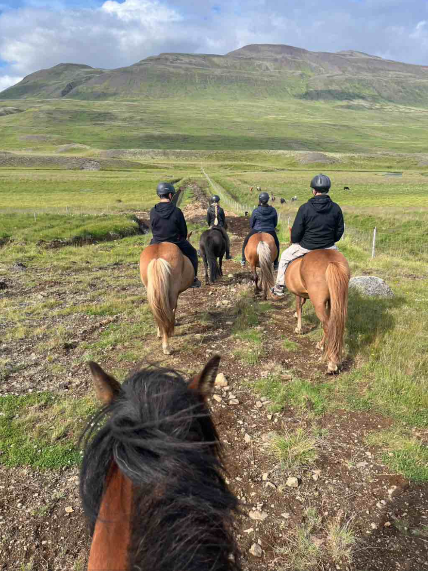 Auslandspraktikum 2025 Auslandspraktikum 2025