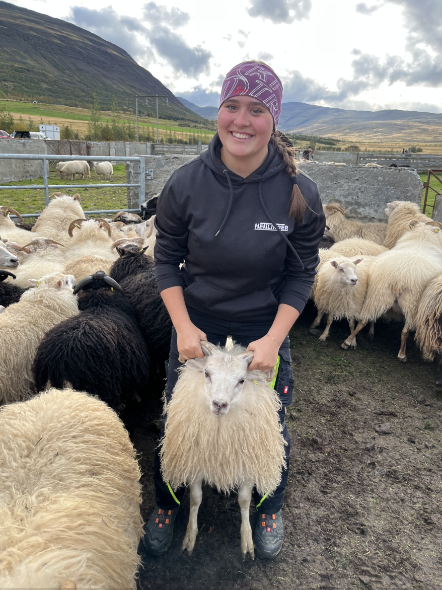 Auslandspraktikum 2025 Auslandspraktikum 2025