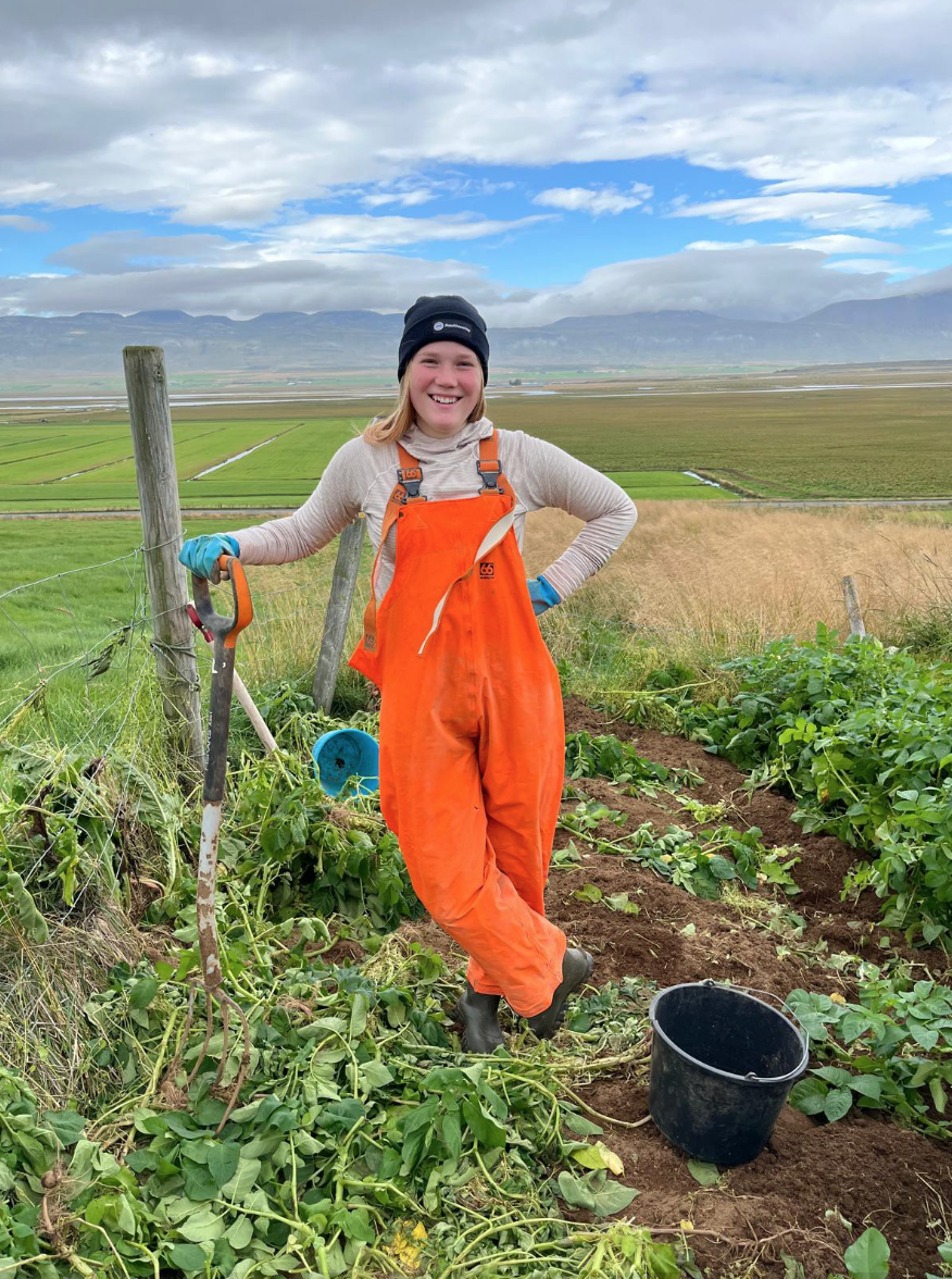 Auslandspraktikum 2025 Auslandspraktikum 2025