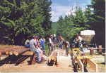 Waldwirtschaft © LFS Kobenz Waldwirtschaft © LFS Kobenz