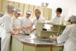 Ausbildung zur Köchin/zum Koch © FS Haidegg Ausbildung zur Köchin/zum Koch © FS Haidegg