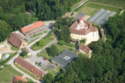 Schulhof Kirchberg am Walde © LFS Kirchberg/Walde Schulhof Kirchberg am Walde © LFS Kirchberg/Walde