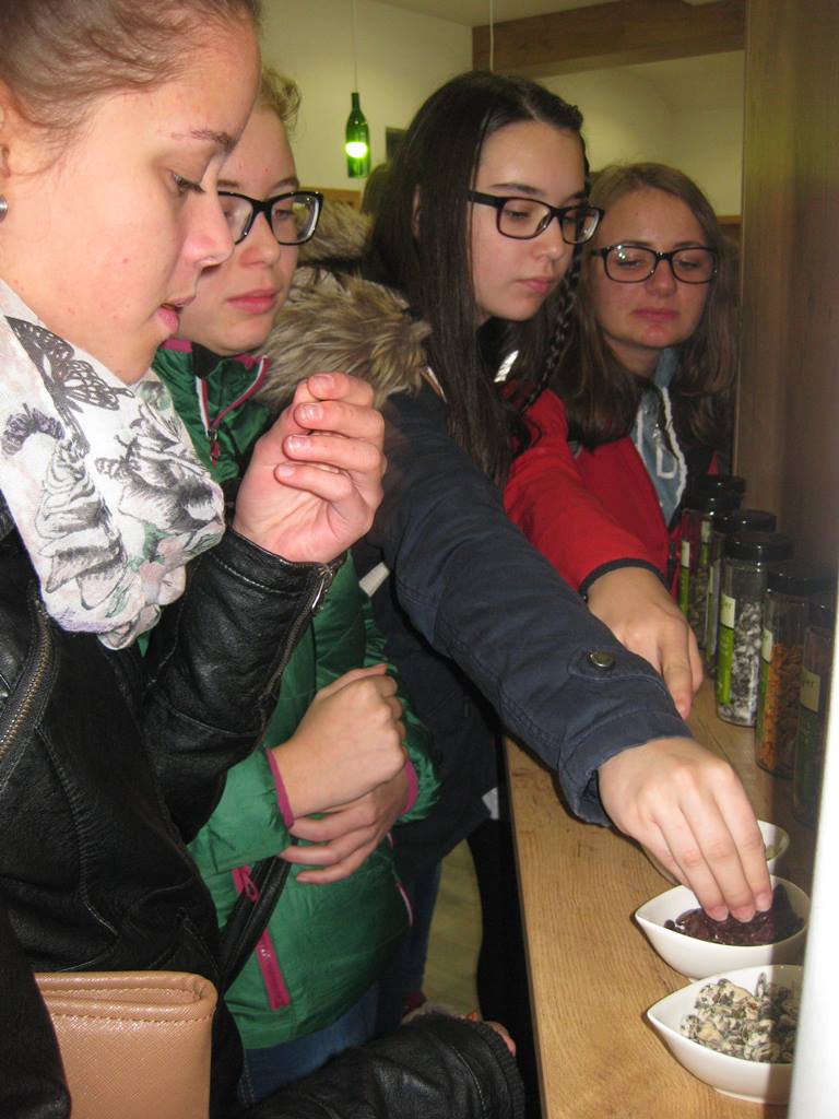 Exkursion 1. Klasse _Oktober 2016 Exkursion 1. Klasse _Oktober 2016