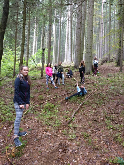 Waldpädagogiktag