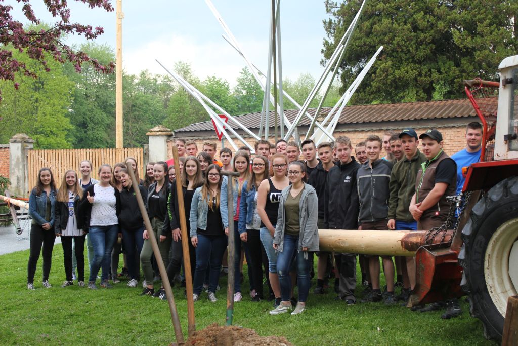 Maibaum 2018 Maibaum 2018
