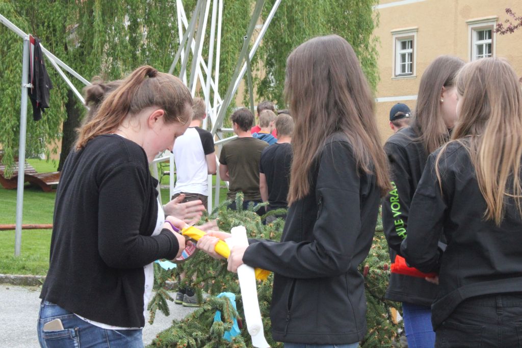 Maibaum 2018 Maibaum 2018