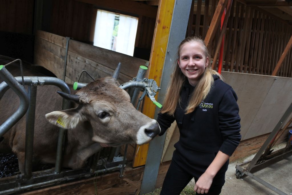 Steiermark-Kärnten-Slowenien_2. Klasse Steiermark-Kärnten-Slowenien_2. Klasse