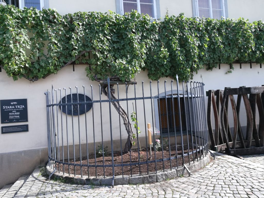 Steiermark-Kärnten-Slowenien_2. Klasse Steiermark-Kärnten-Slowenien_2. Klasse