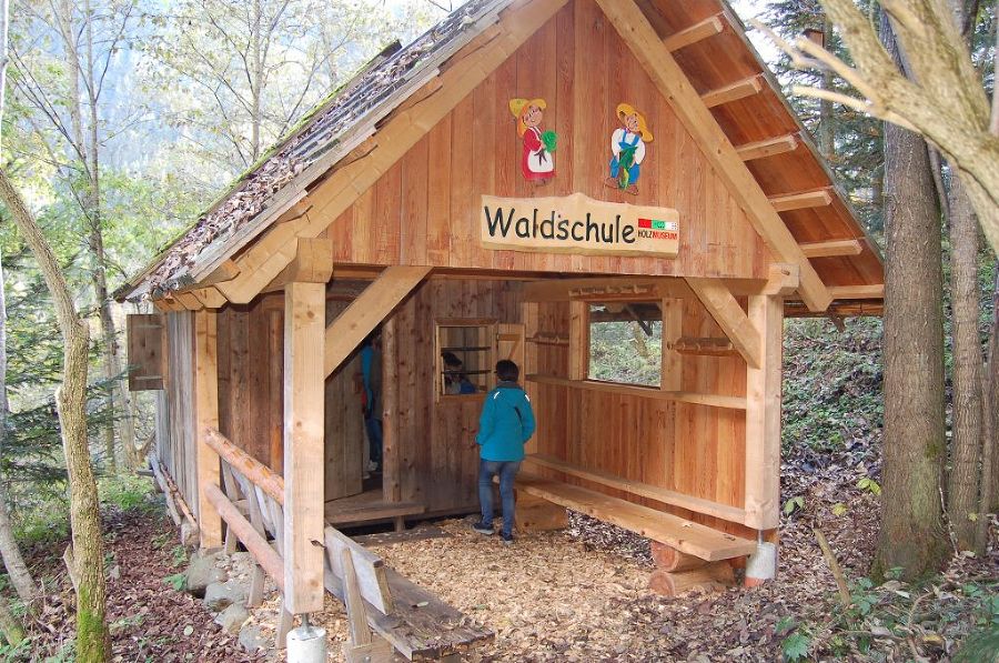 Projekt Wald-Holz & Wir