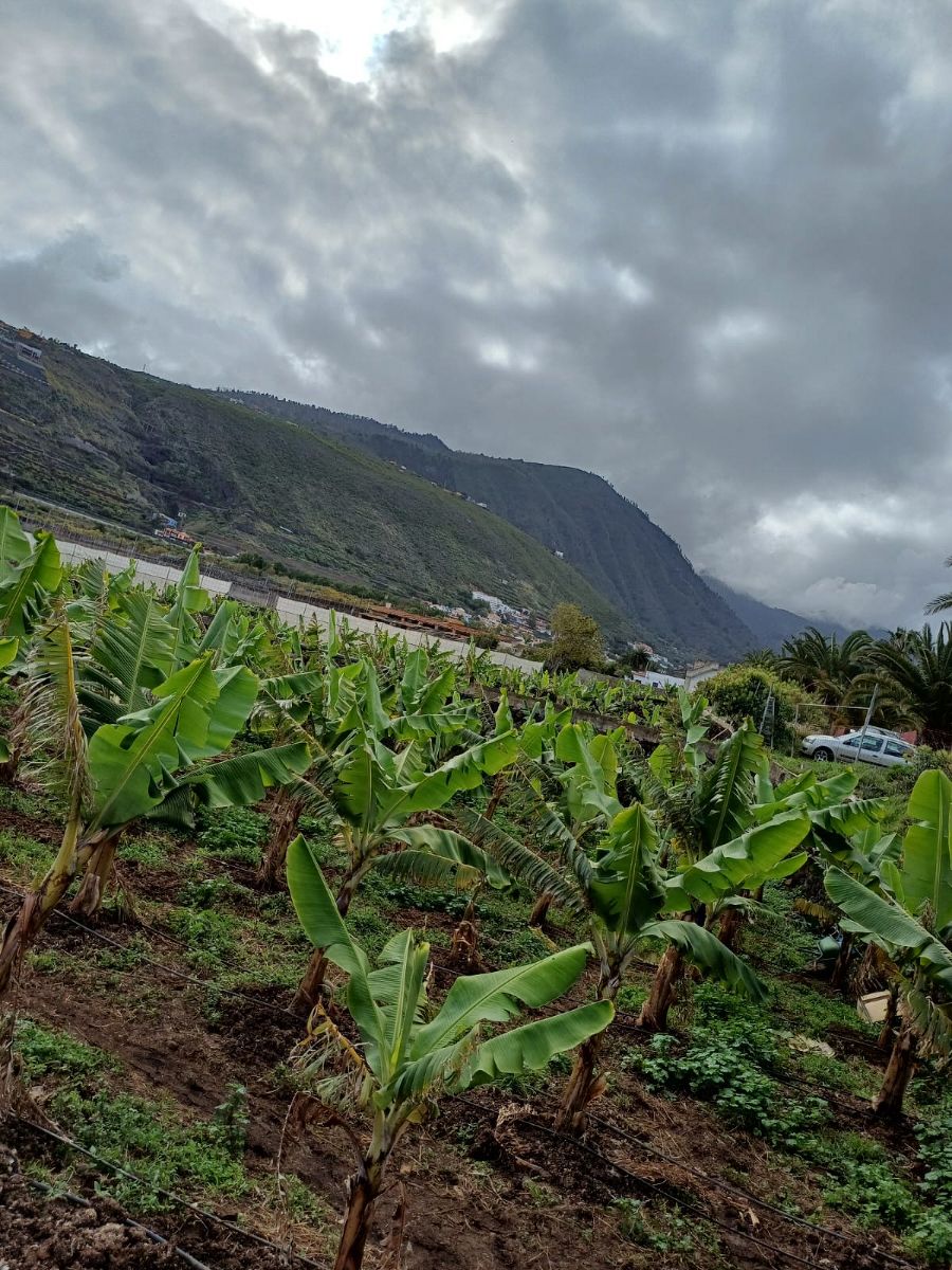 Teneriffa Praktikum Teneriffa Praktikum