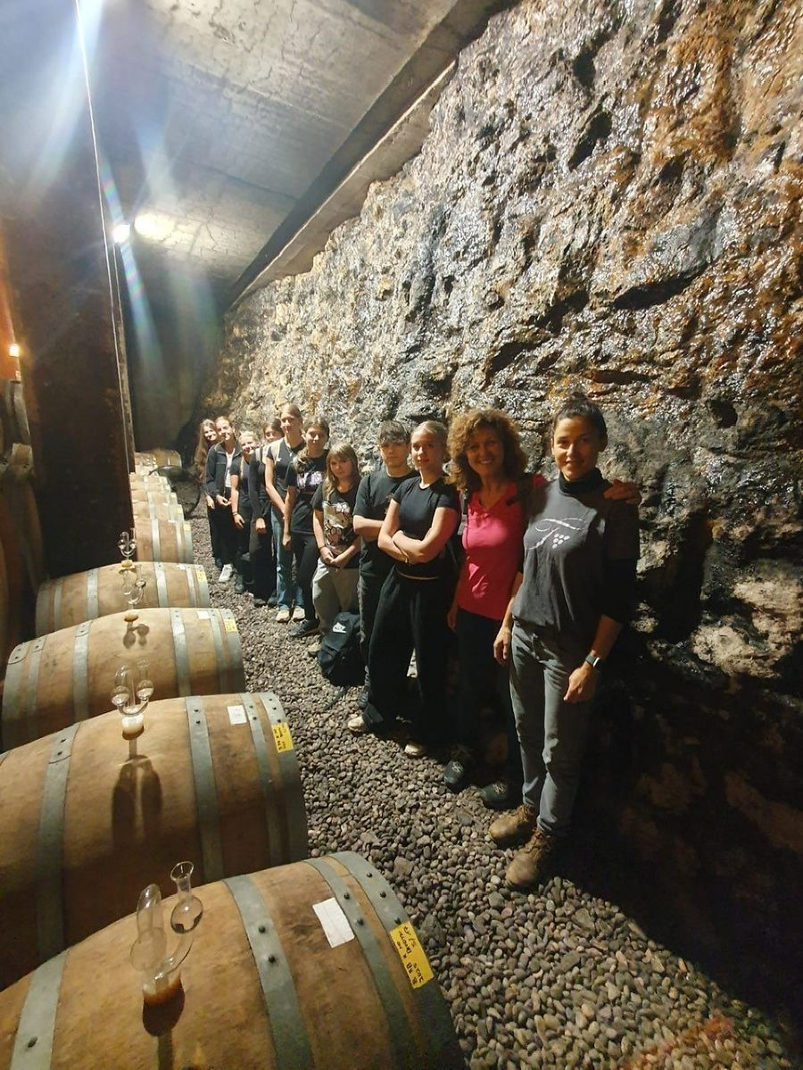 Weinlese