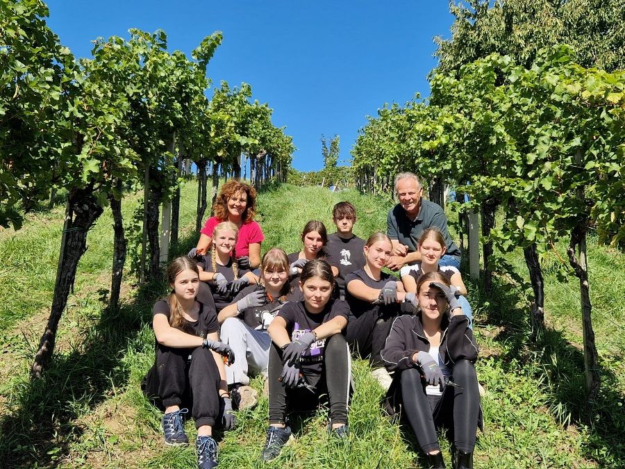 Weinlese
