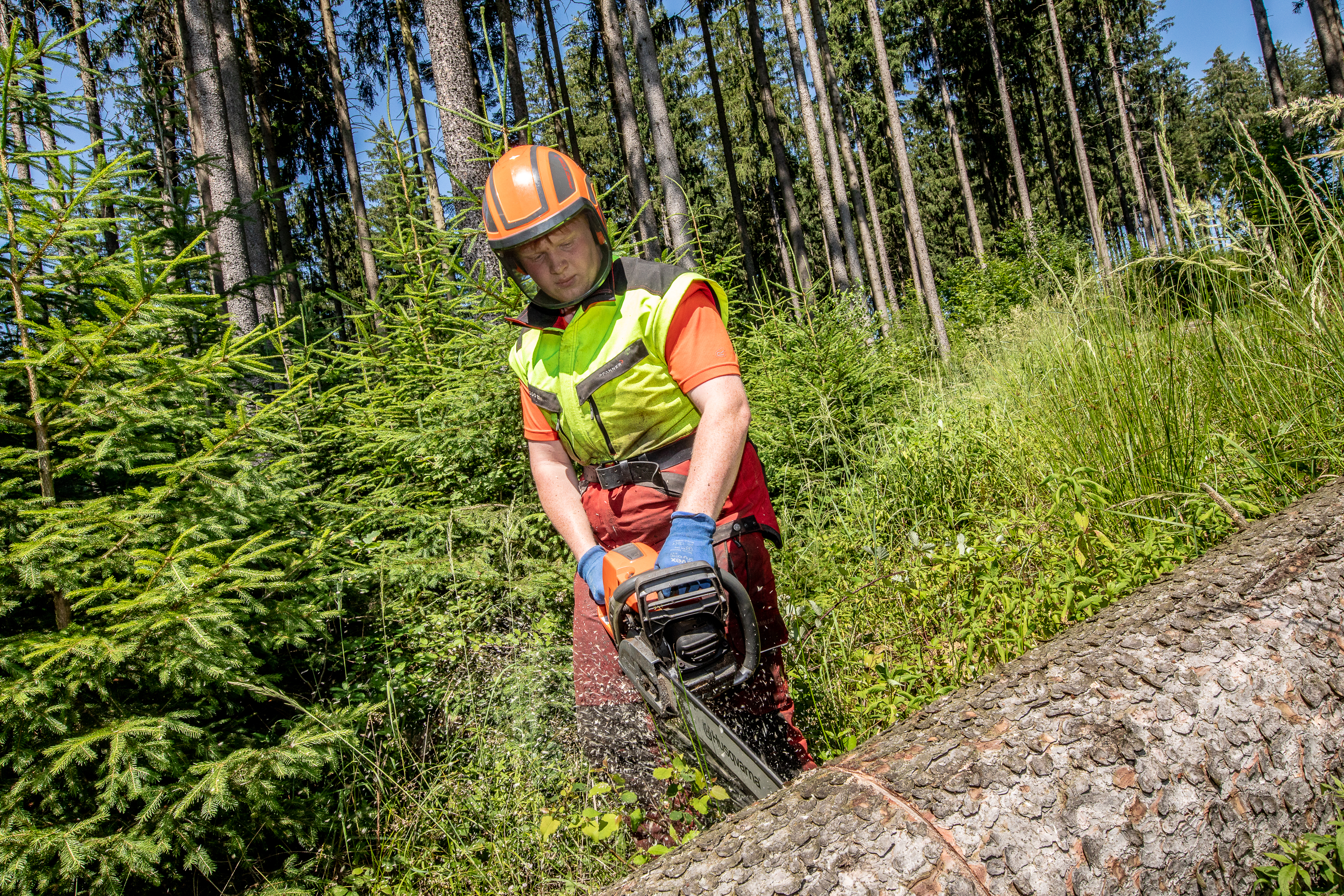 Forstbild © Studio Gimpel, Graz Forstbild © Studio Gimpel, Graz