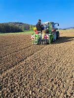 Anbau Weizen Herbst 2024 Großansicht