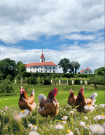 Geflügelfachtag 2025 © LFS Kirchberg am Walde