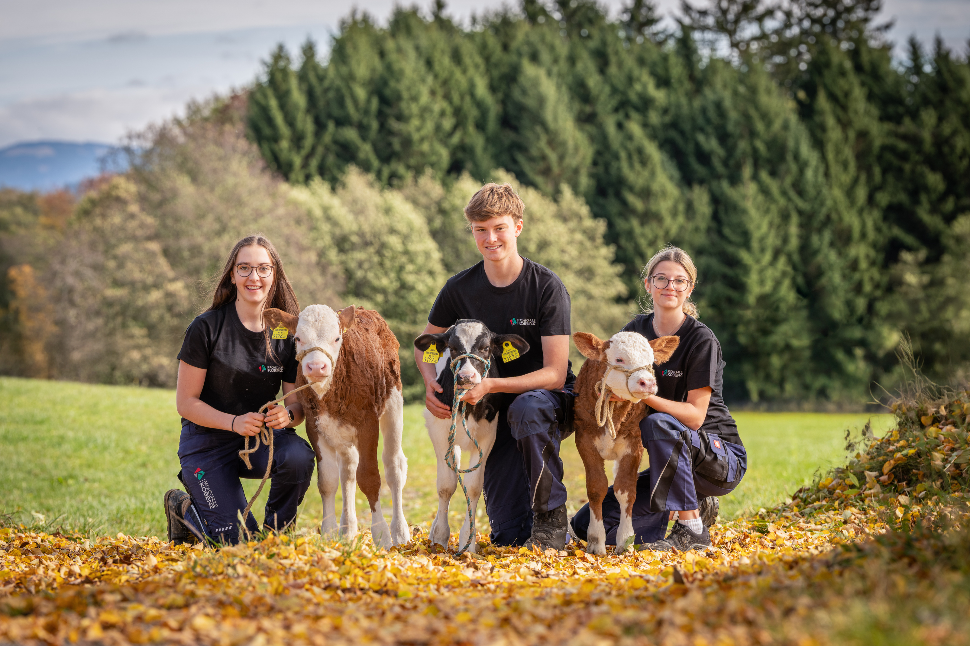 Schüler mit junge Kälber