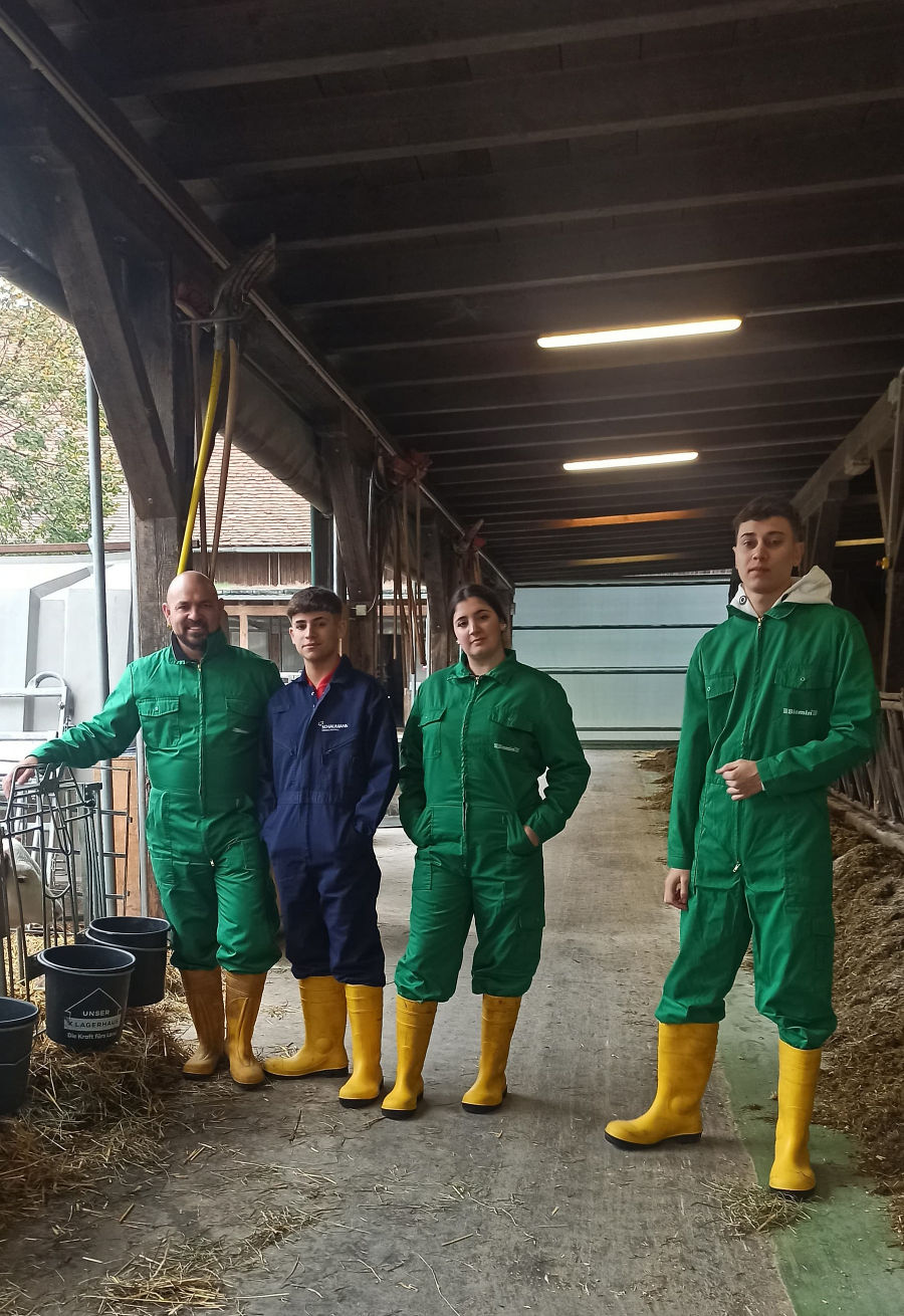 Projekt Erasmus Projekt Erasmus