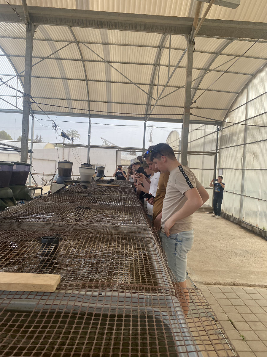 Projekt Erasmus Projekt Erasmus