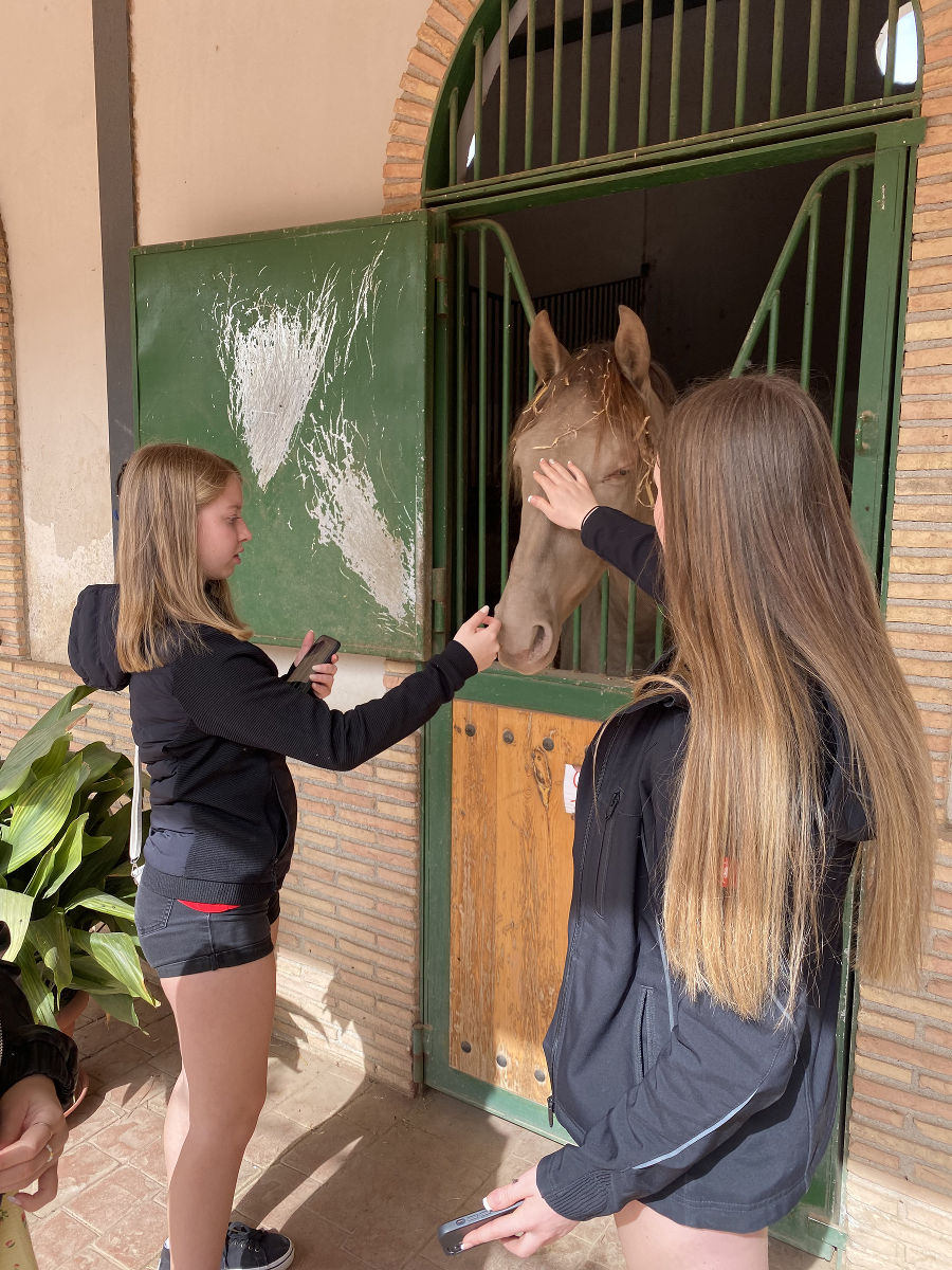 Projekt Erasmus Projekt Erasmus