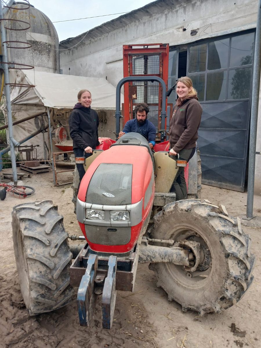 Praktikum Vicenza Praktikum Vicenza