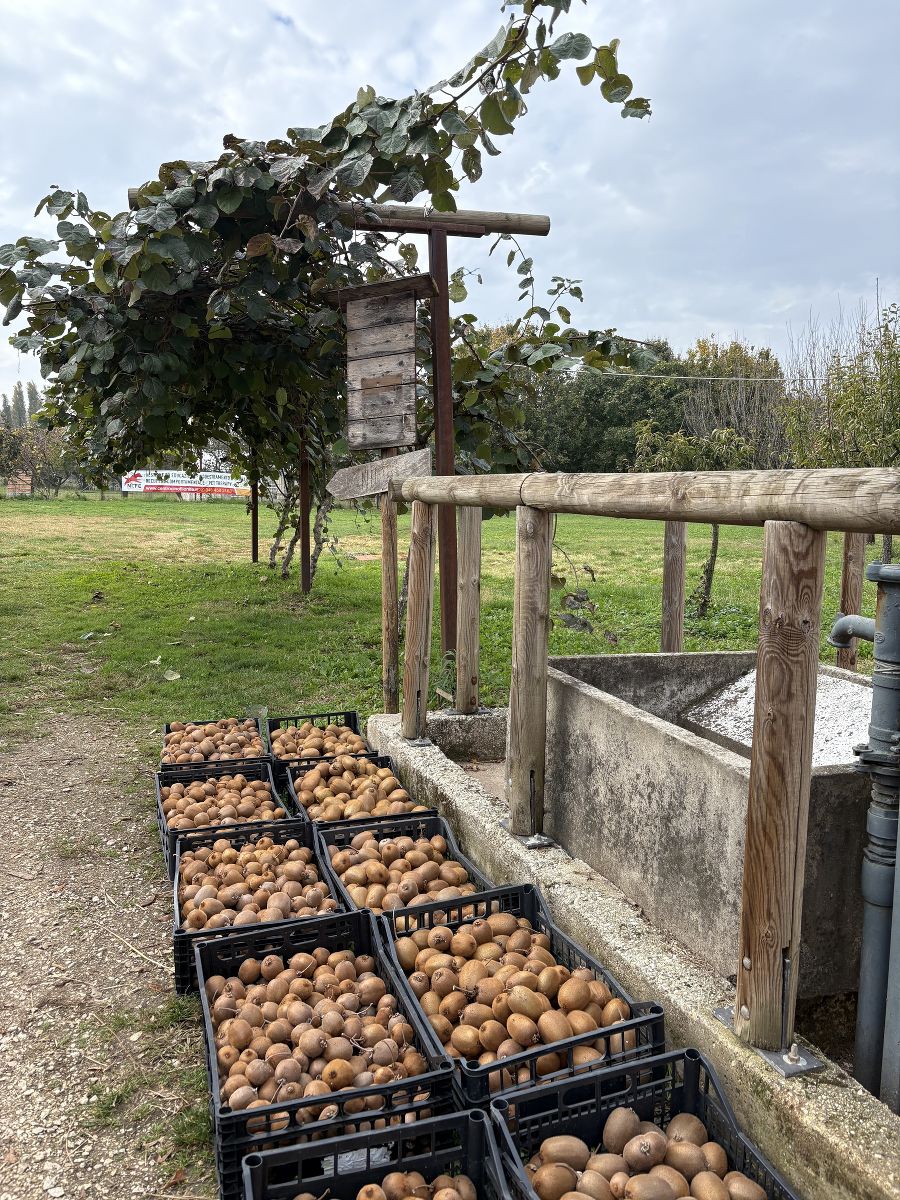 Praktikum Vicenza Praktikum Vicenza