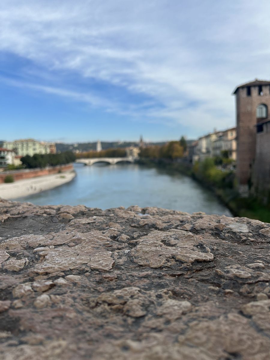 Praktikum Vicenza Praktikum Vicenza