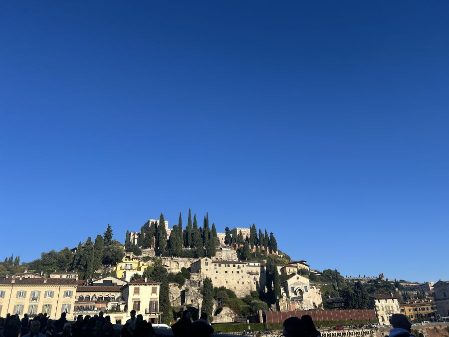 Praktikum Vicenza Praktikum Vicenza