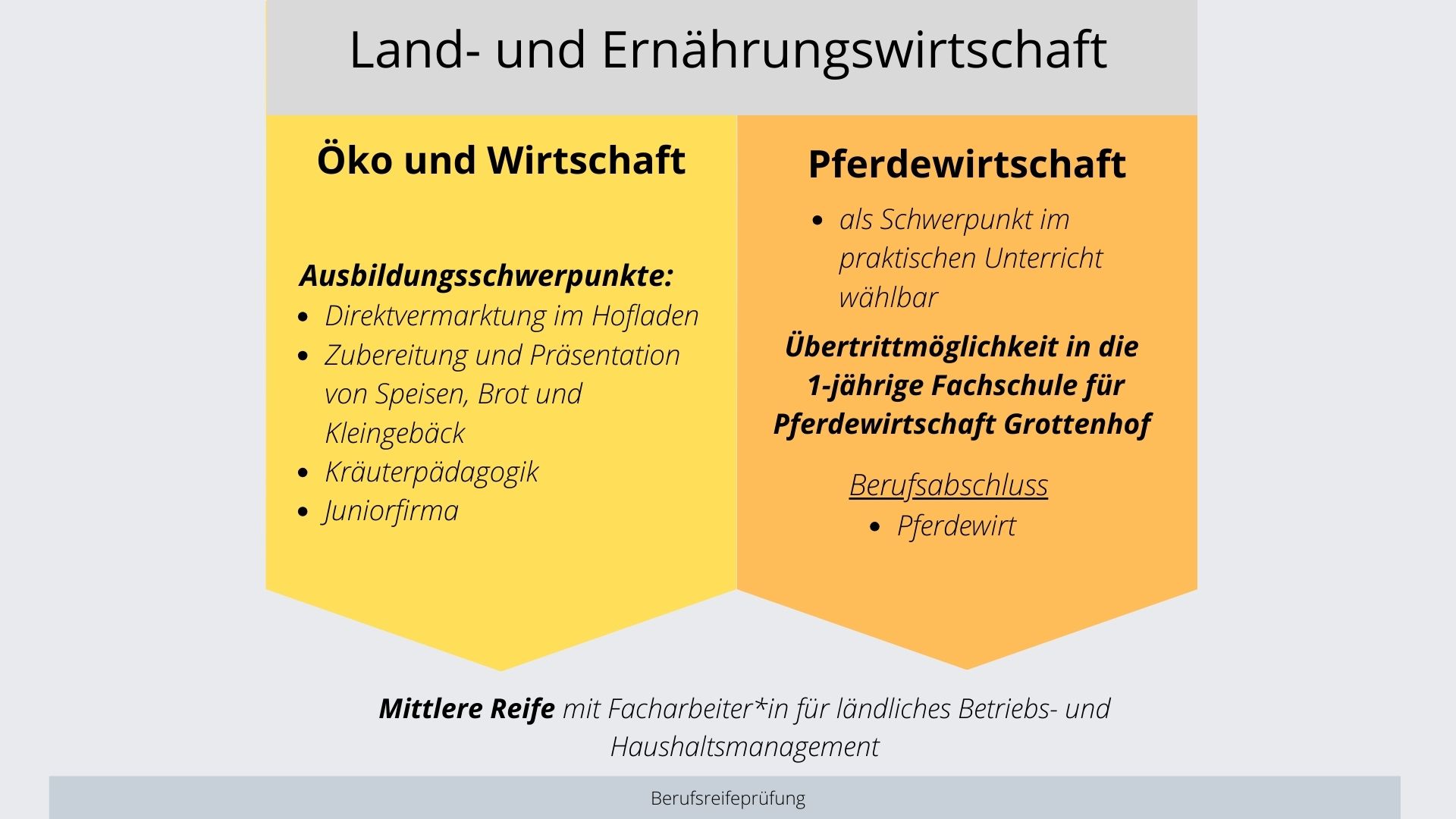 Das Ausbildungsmodul für Land- und Ernährungswirtschaft wird näher beschrieben.