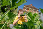 Ein Junge sitzt im Gartenfeld vor dem Schulgebäude und isst eine Gurke
