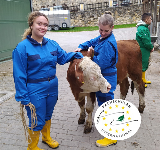 ERASMUS+ © LFS Kirchberg am Walde ERASMUS+ © LFS Kirchberg am Walde