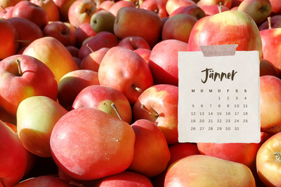 Kalender © FS Silberberg