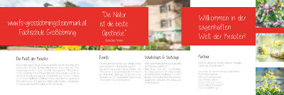 Flyer Übersicht mit dem Thema Kräuter. Zu sehen sind Überschriften wie 'Die Kraft der Kräuter', 'Events' und 'Workshops'.