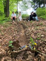 Waldlandschaft mit einem schmalen Pfad für die Kugelbahn, auf dem vier Personen Platz genommen haben. Vegetation und Laub bedecken den Boden.