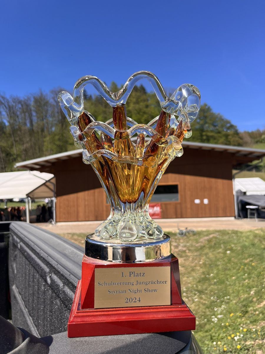 Pokal