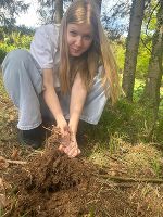 Person hockt im Wald und versucht etwas Moos zu entfernen. Fokus liegt auf den Händen, die den Waldboden bearbeiten.