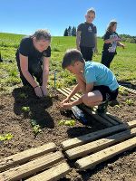 Kinder pflanzen gemeinsam Salat in ein dafür angelegtes Beet.
