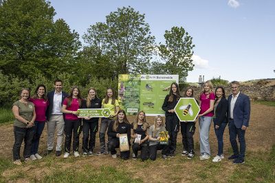 BeeWild Initiative © BeeWild