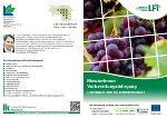 Info-Flyer zur Meister:innenausbildung Weinbau und Kellerwirtschaft
