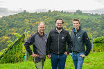 3 Männer vom Weinbau-Keller-Team im Weingarten