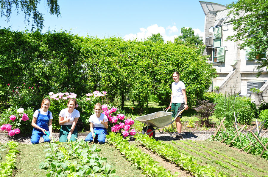 Verarbeitung, Vermarktung landwirtschaftlicher Produkte und Gartenbau