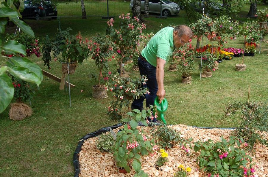 Fuchsienausstellung