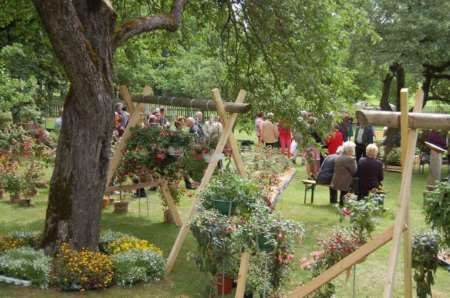 Fuchsienausstellung
