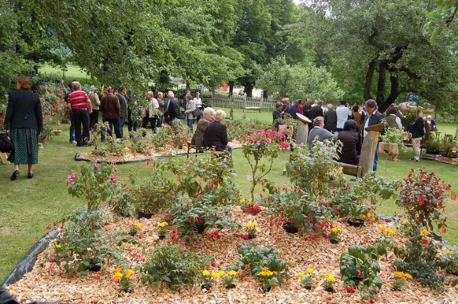Fuchsienausstellung