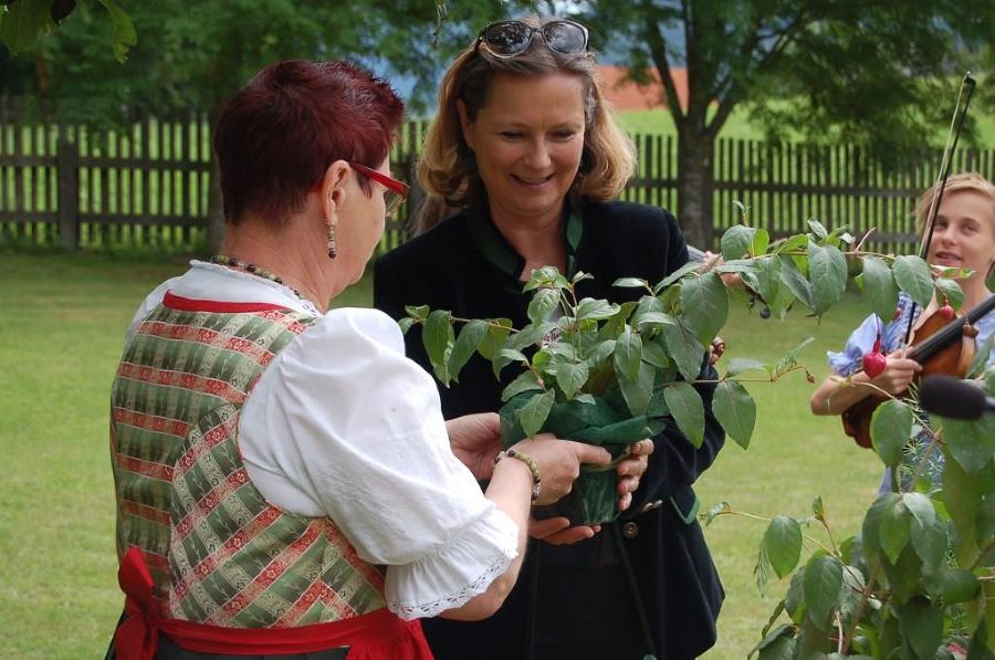 Fuchsienausstellung