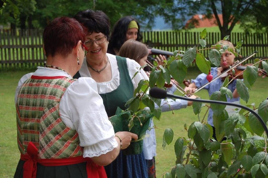 Fuchsienausstellung