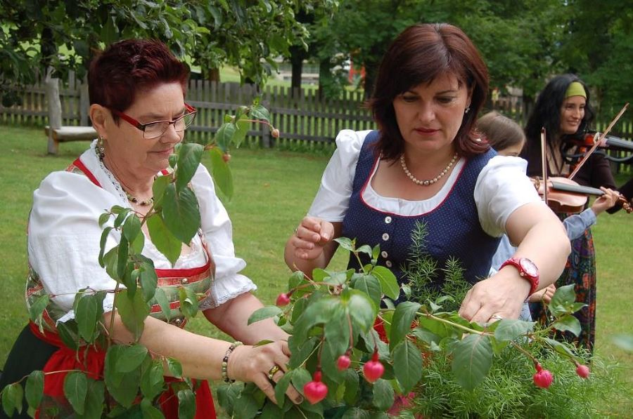 Fuchsienausstellung