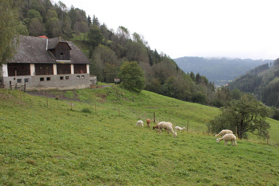 Wandertag 3. Klasse