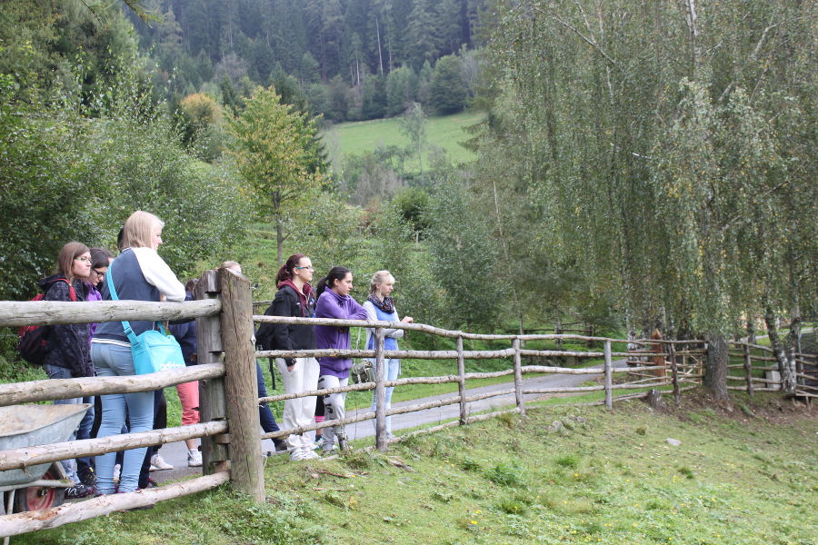 Wandertag 3. Klasse